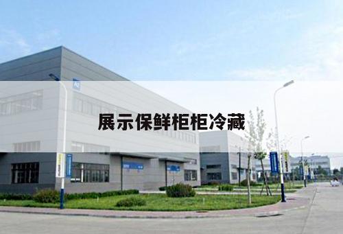 展示保鮮柜柜冷藏