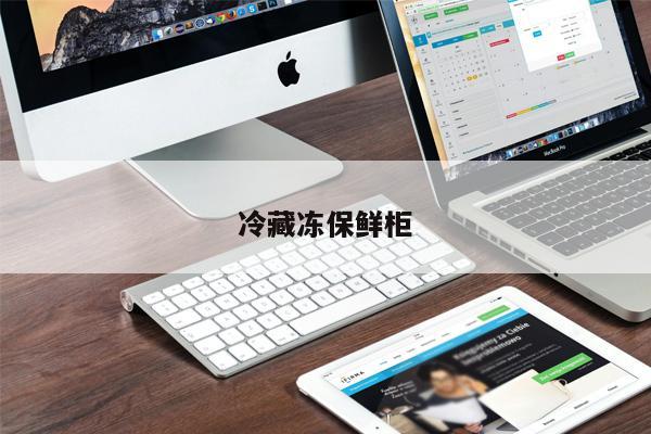 冷藏凍保鮮柜