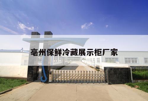 亳州保鮮冷藏展示柜廠家
