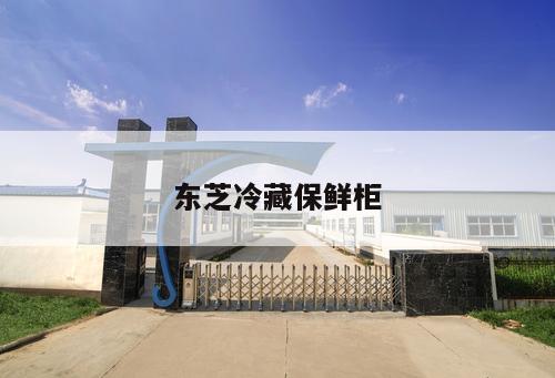 東芝冷藏保鮮柜