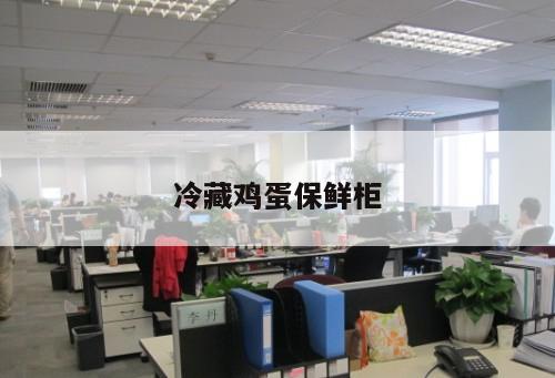冷藏雞蛋保鮮柜