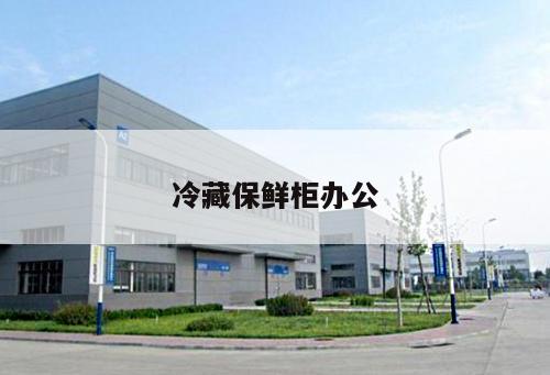 冷藏保鮮柜辦公