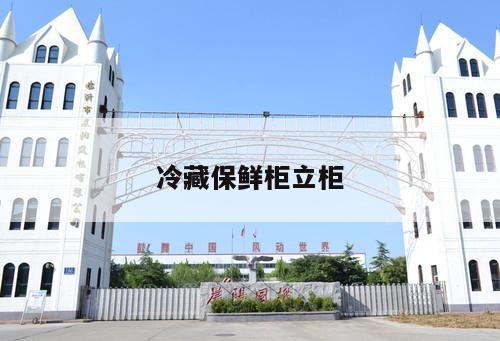冷藏保鮮柜立柜