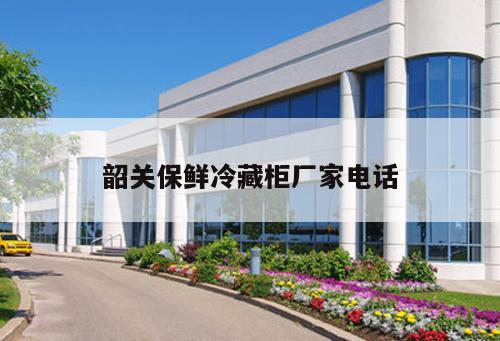 韶關(guān)保鮮冷藏柜廠家電話