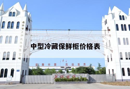 中型冷藏保鮮柜價(jià)格表