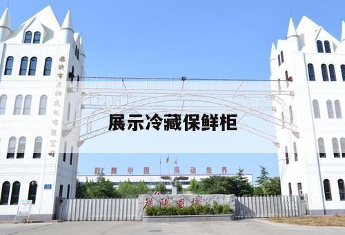 展示冷藏保鮮柜