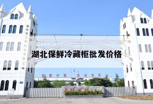 湖北保鮮冷藏柜批發(fā)價格