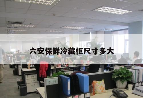 六安保鮮冷藏柜尺寸多大