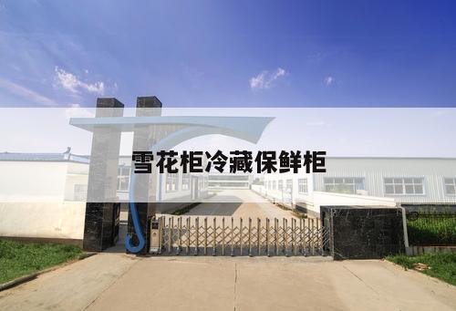 雪花柜冷藏保鮮柜