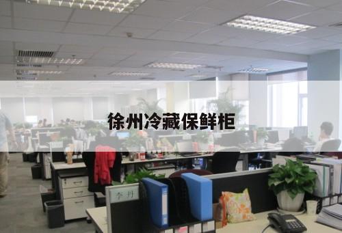 徐州冷藏保鮮柜