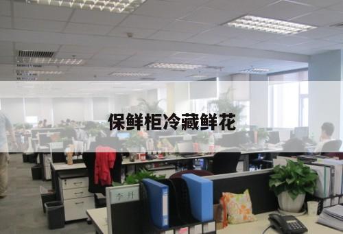保鮮柜冷藏鮮花
