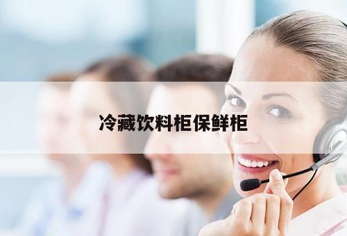 冷藏飲料柜保鮮柜