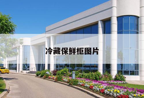 冷藏保鮮柜圖片