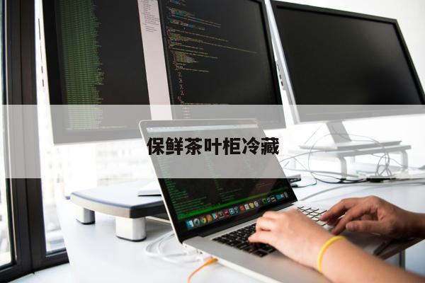 保鮮茶葉柜冷藏