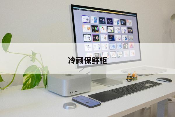 冷藏保鮮柜
