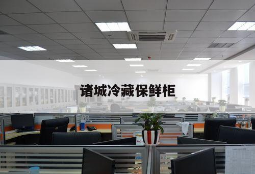 諸城冷藏保鮮柜