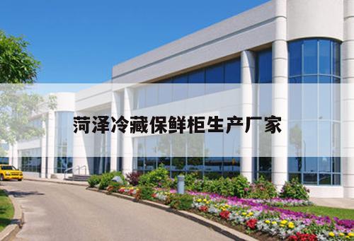 菏澤冷藏保鮮柜生產(chǎn)廠家