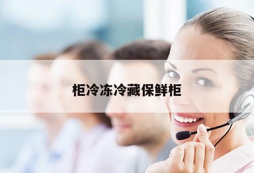 柜冷凍冷藏保鮮柜