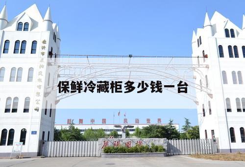 保鮮冷藏柜多少錢一臺