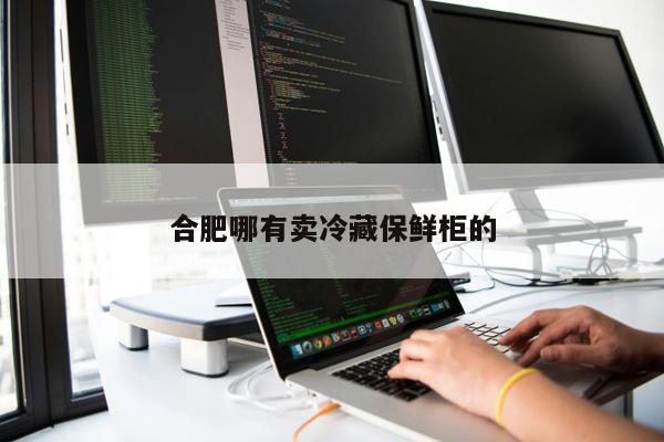 合肥哪有賣冷藏保鮮柜的