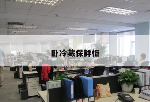 臥冷藏保鮮柜