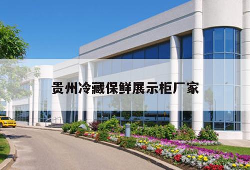 貴州冷藏保鮮展示柜廠家