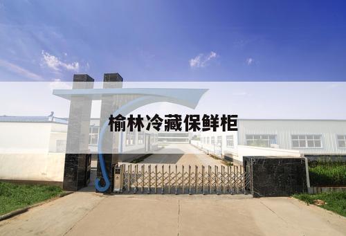 榆林冷藏保鮮柜