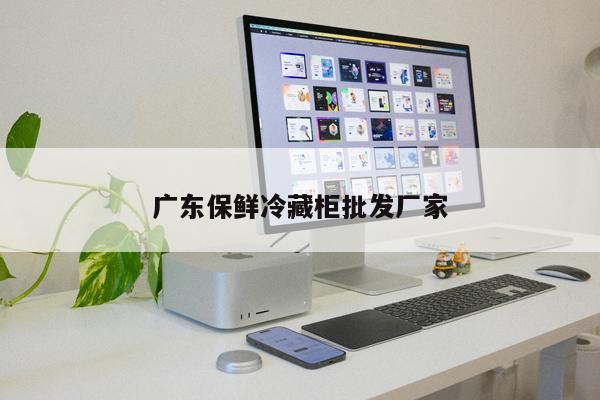 廣東保鮮冷藏柜批發(fā)廠家
