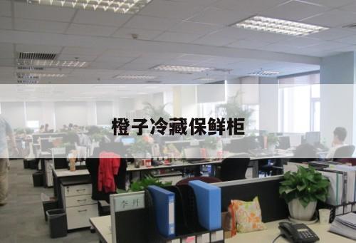 橙子冷藏保鮮柜