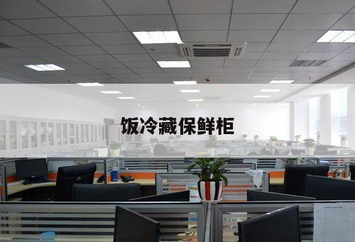 飯冷藏保鮮柜