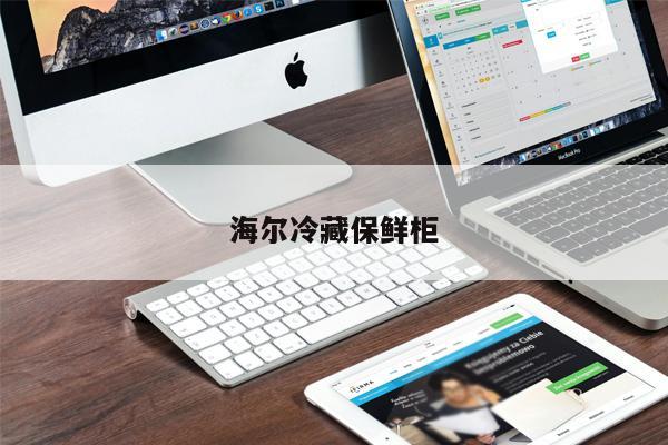 海爾冷藏保鮮柜