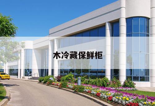木冷藏保鮮柜