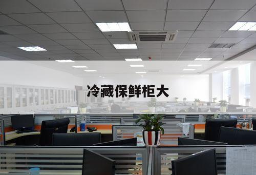冷藏保鮮柜大