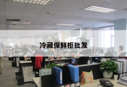 冷藏保鮮柜批發(fā)