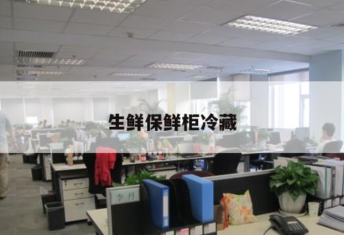 生鮮保鮮柜冷藏