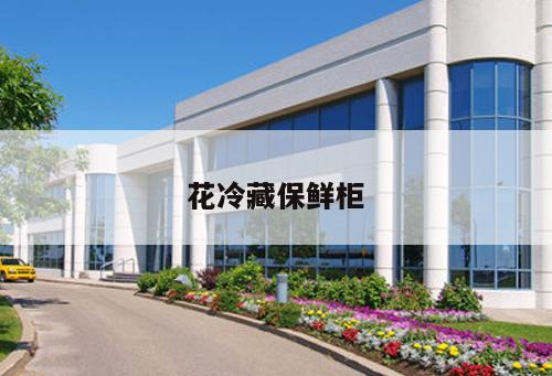 花冷藏保鮮柜