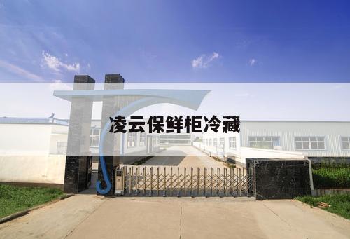 凌云保鮮柜冷藏