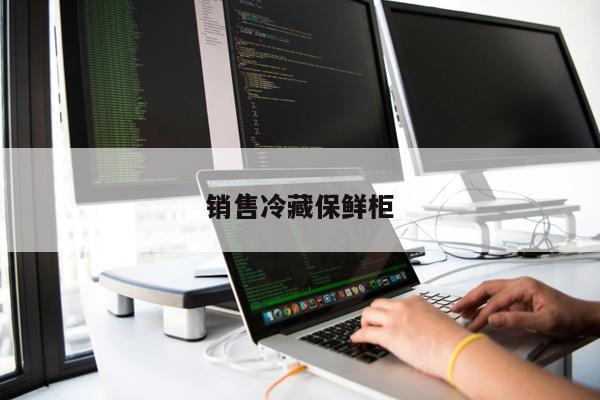 銷售冷藏保鮮柜