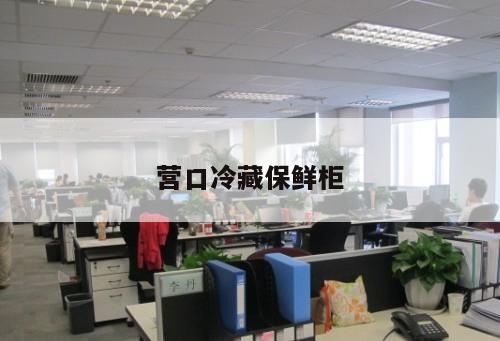 營口冷藏保鮮柜
