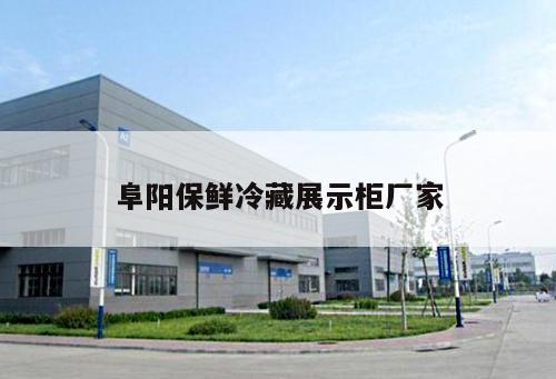 阜陽(yáng)保鮮冷藏展示柜廠家