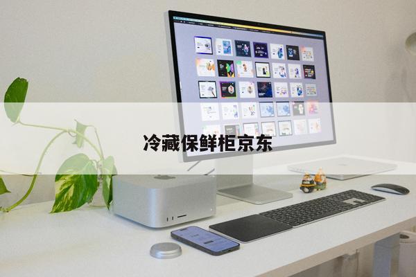 冷藏保鮮柜京東