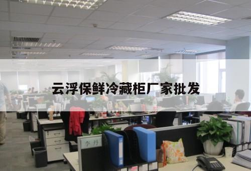 云浮保鮮冷藏柜廠家批發(fā)