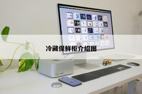 冷藏保鮮柜介紹圖