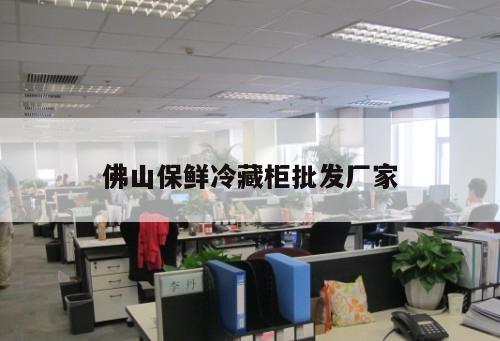 佛山保鮮冷藏柜批發(fā)廠家