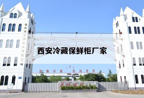 西安冷藏保鮮柜廠家