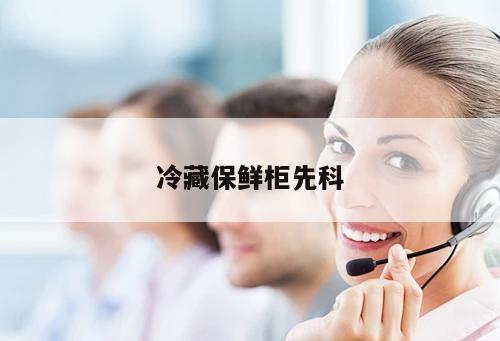 冷藏保鮮柜先科