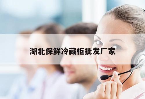 湖北保鮮冷藏柜批發(fā)廠家