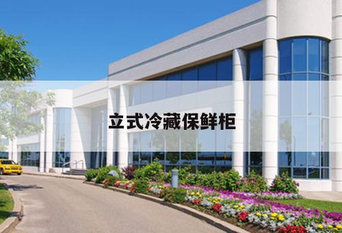 立式冷藏保鮮柜