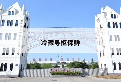冷藏導(dǎo)柜保鮮